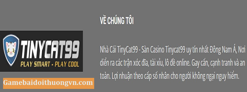 Một ít thông tin về nhà cái đẳng cấp TinyCat99