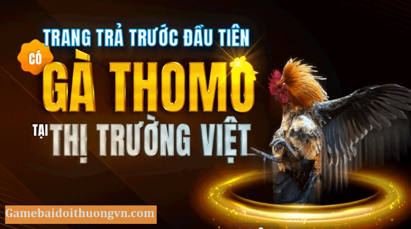 Nhiều trường gà sôi động, hấp dẫn đem đến tỷ lệ chiến thắng cao